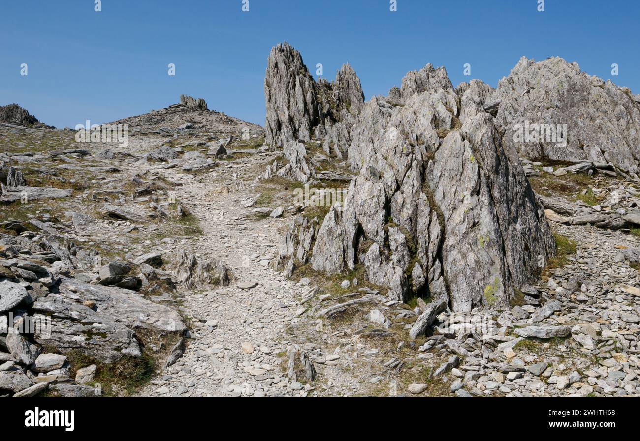 I pinnacoli di roccia riolitica frastagliati sull'avvicinamento alla cima del Glyder Fawr a Snowdonia, Eryri, Galles del Nord Foto Stock