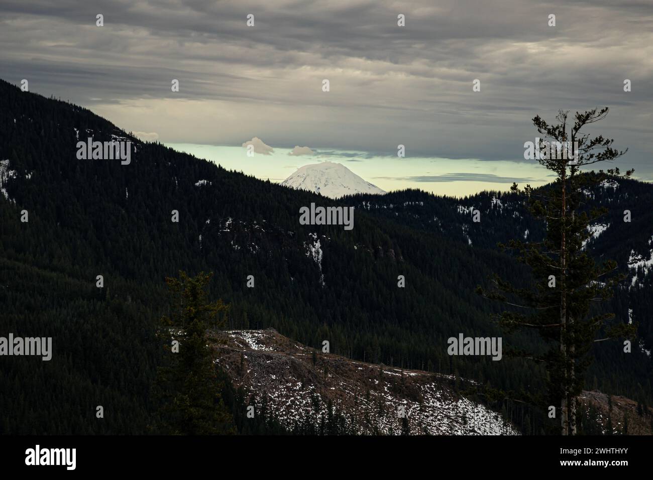 WA25049-00...WASHINGTON - Mount Adams visto dalla Snow Bowl Hut nella zona dei sentieri sciistici di Mount Tahoma. Foto Stock