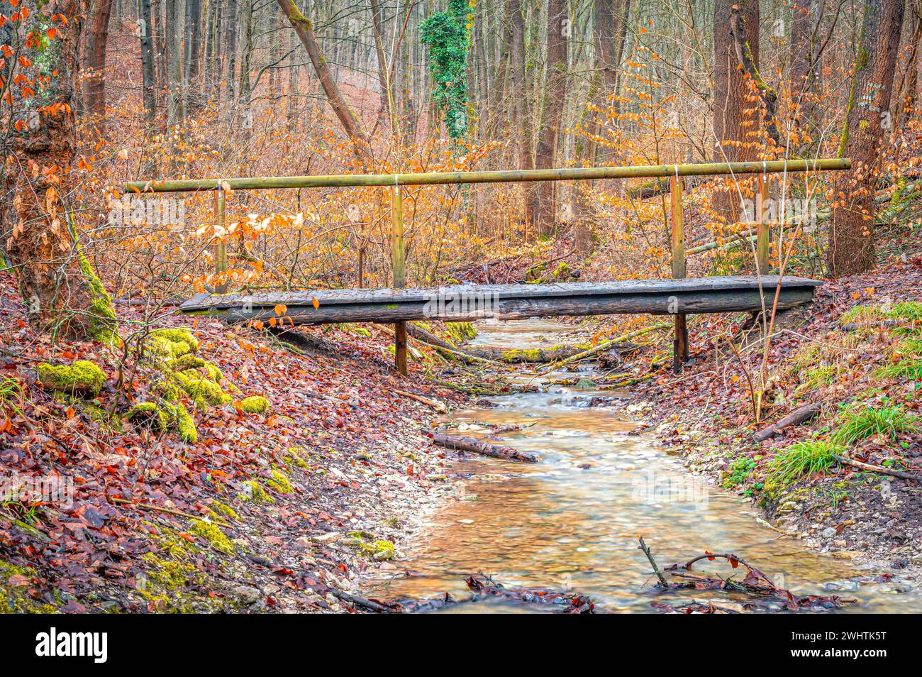 Piccolo vecchio ponte in legno sopra un torrente nella valle del Rautal nella foresta, Jena, Turingia, Germania Foto Stock