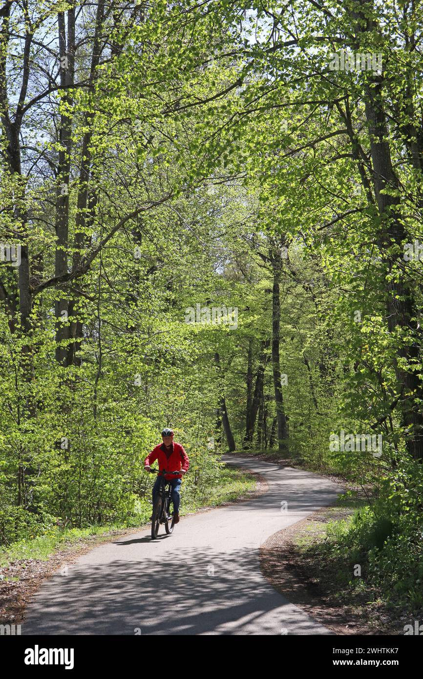 ein Radfahrer mit Helm fährt auf dem Schwarzauer Weg von Altenmarkt nach Trostberg * ciclista con casco su una pista ciclabile curvilinea attraverso il legno verde Foto Stock