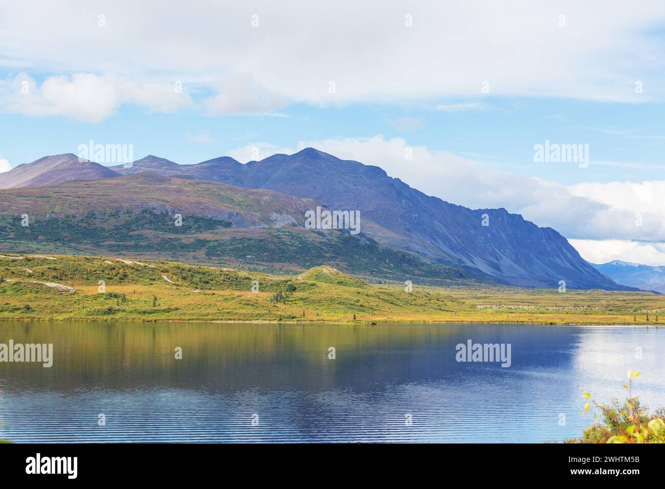 Fai un'escursione nel fantastico paesaggio dell'Alaska, Stati Uniti Foto Stock