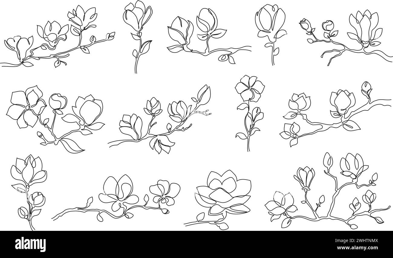 Fiori di magnolia su una linea. Rami in magnolia fioriti, set di illustrazioni vettoriali disegnate a mano con motivi floreali minimalisti a tema primaverile Illustrazione Vettoriale