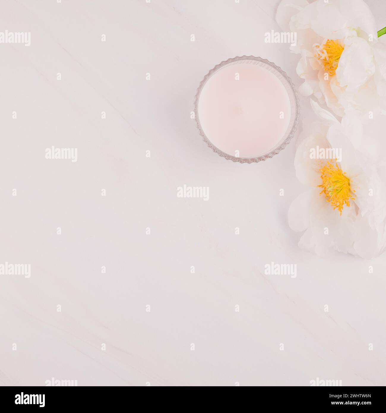 Fiori di peonia bianca su sfondo di marmo Foto Stock