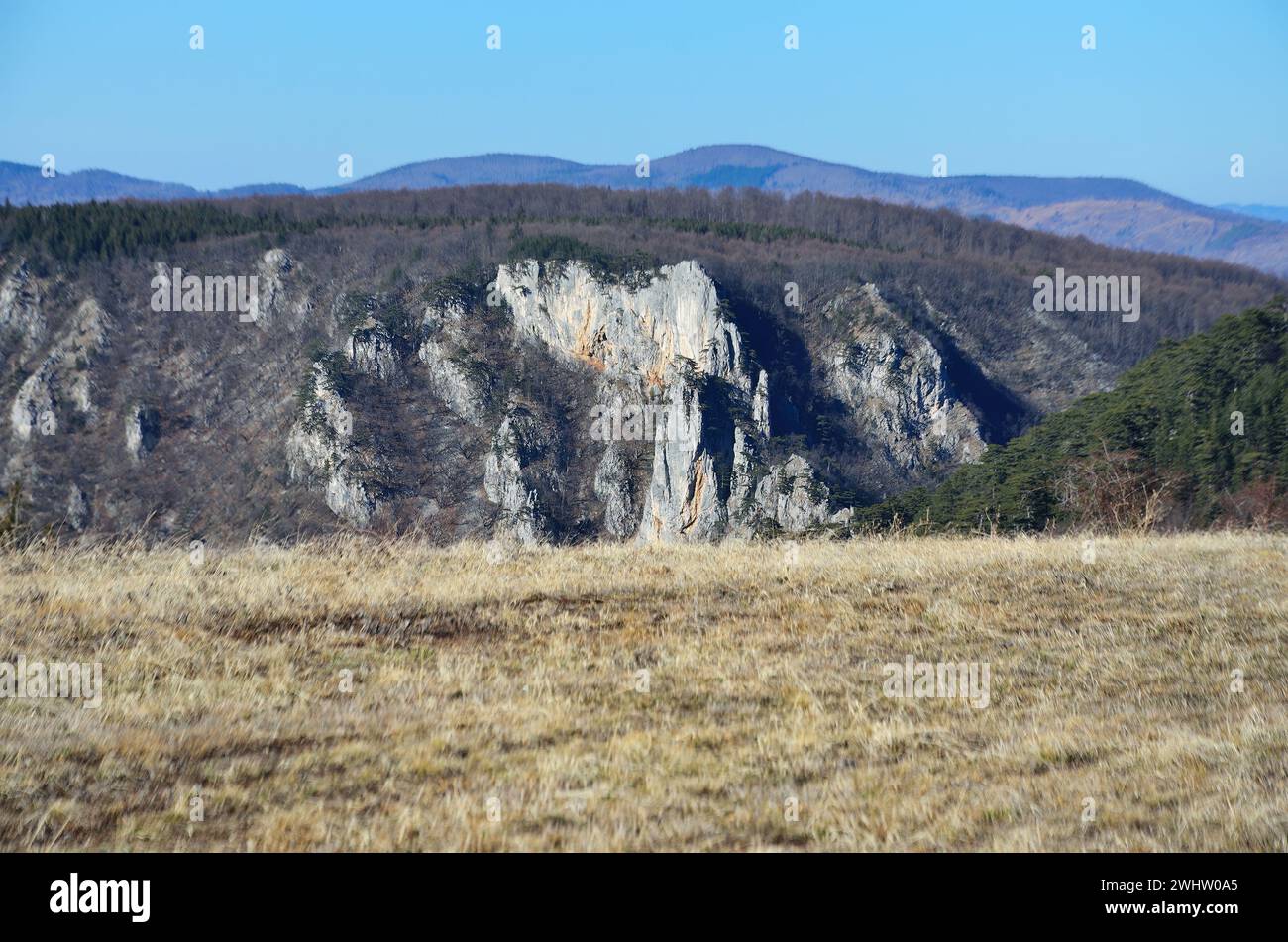 Un pittoresco paesaggio del monte Tara in Serbia Foto Stock