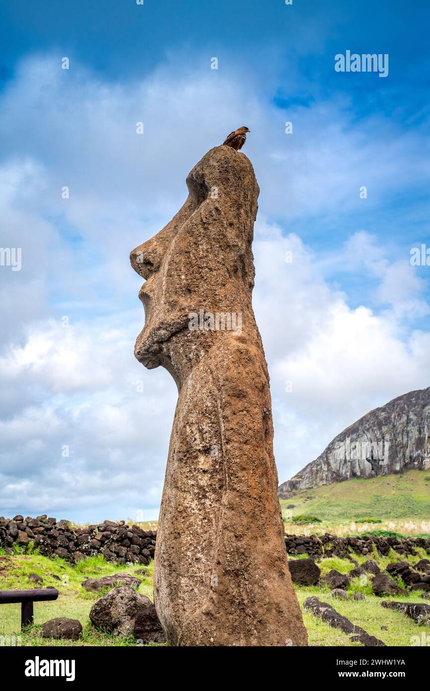 Moais a Tongariki, Rapa Nui, Isola di Pasqua Foto Stock