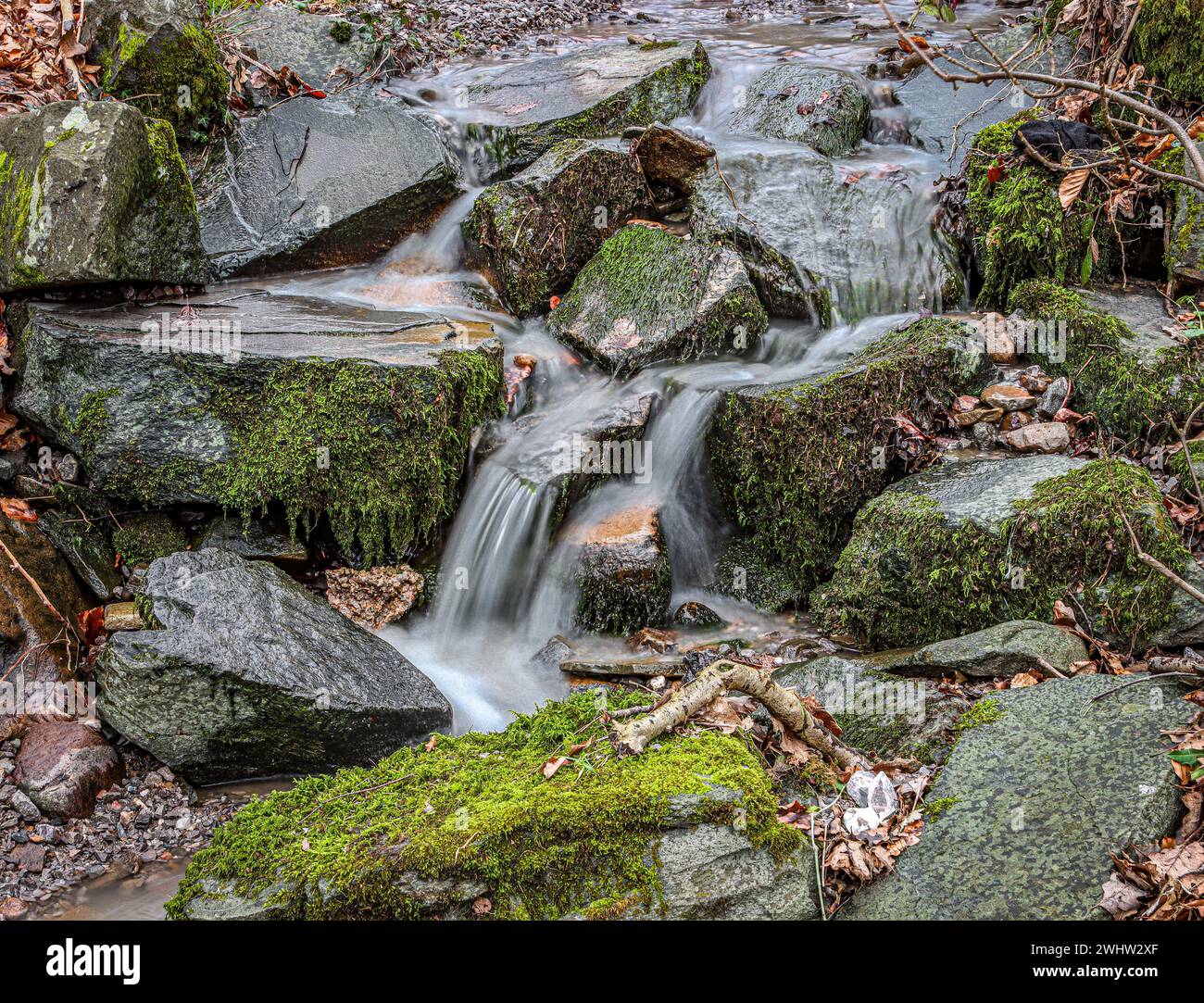 Una vivace cascata di ruscelli si estende su rocce coperte di muschio Foto Stock