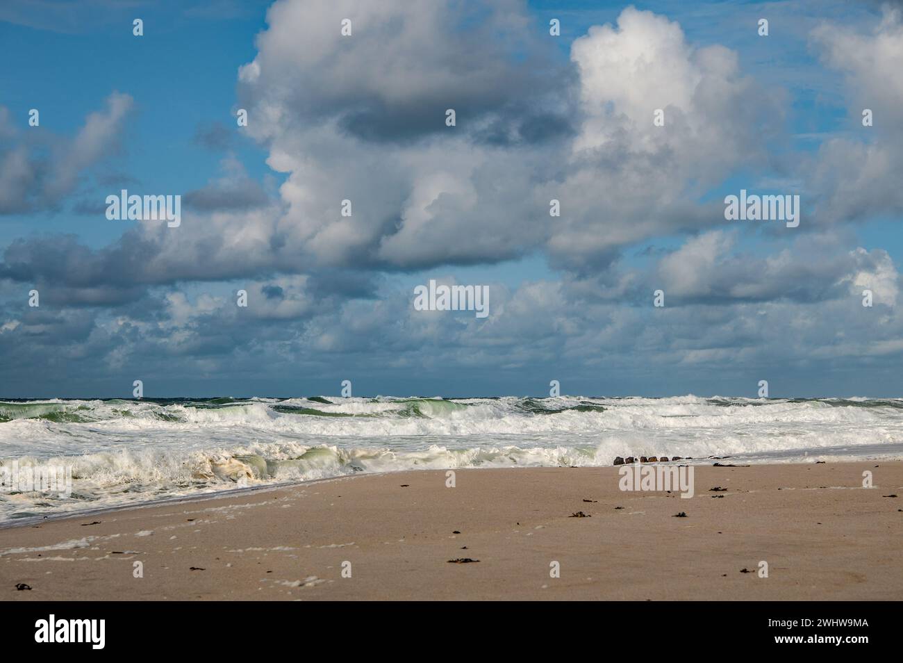 Onde surf Foto Stock