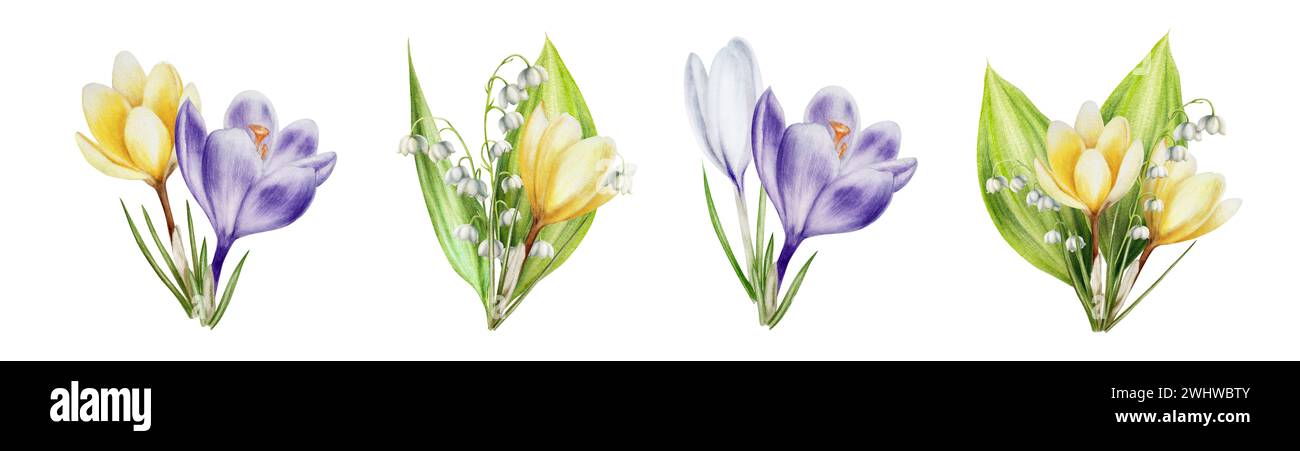 Set di acquerelli di mazzi di croci in fiore giallo, bianco e viola e giglio di fiori della valle isolati su sfondo bianco. Festa di primavera Foto Stock