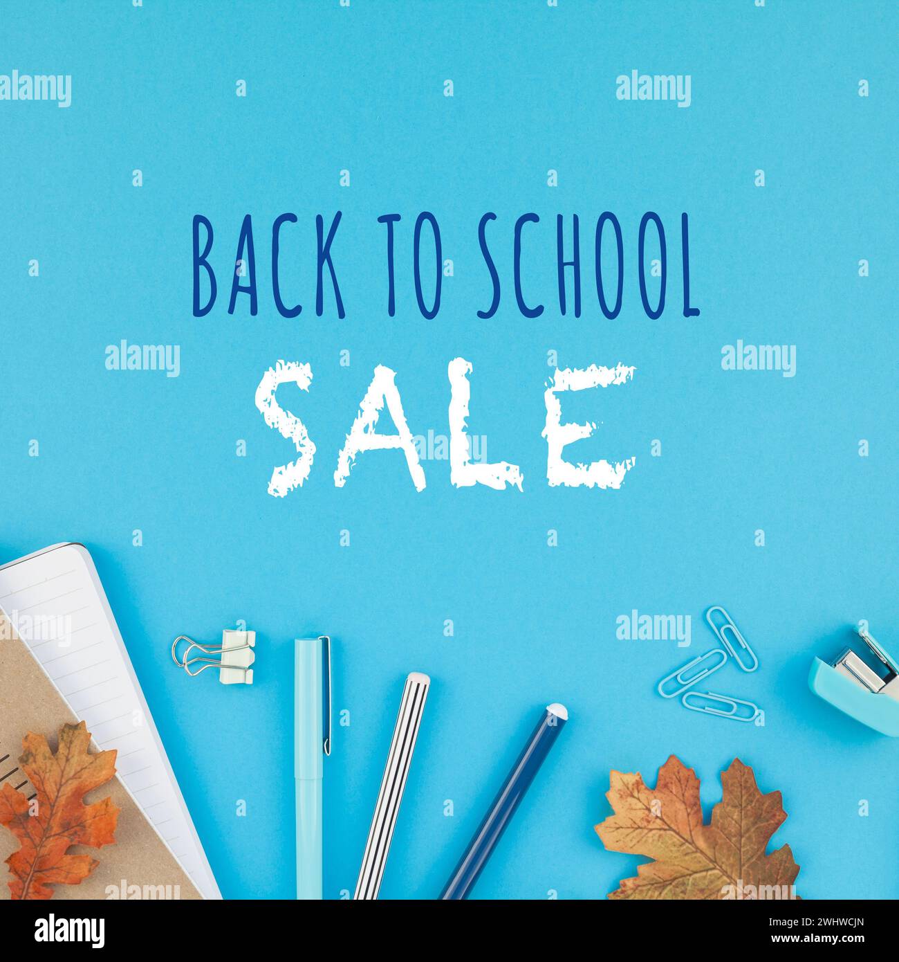 Concetto di promozione Back to School Foto Stock