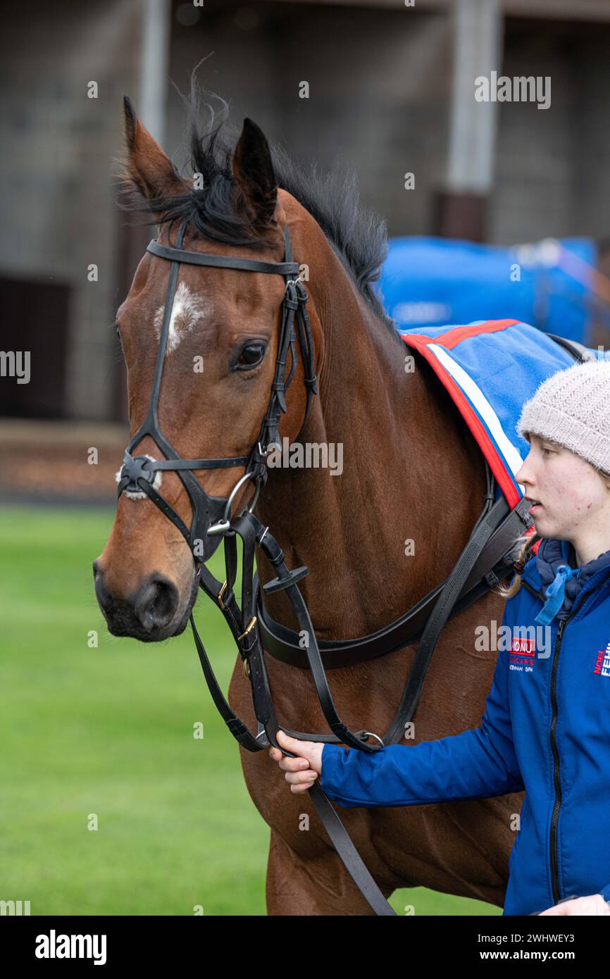 Prima gara a Wincanton 19 febbraio 2022 - Novice hurdle Foto Stock