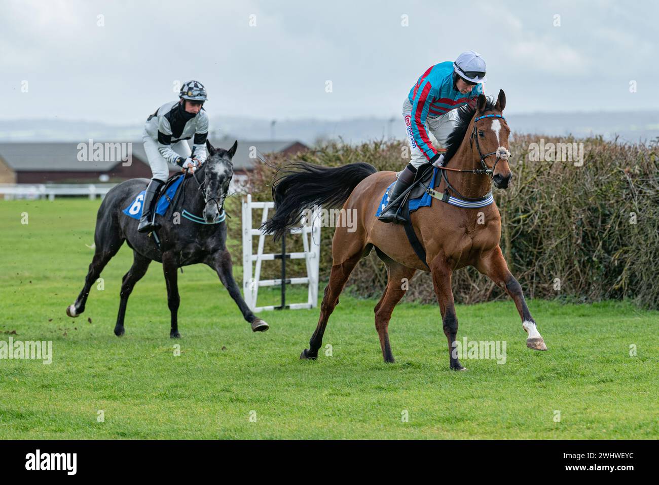 Prima gara a Wincanton 19 febbraio 2022 - Novice hurdle Foto Stock