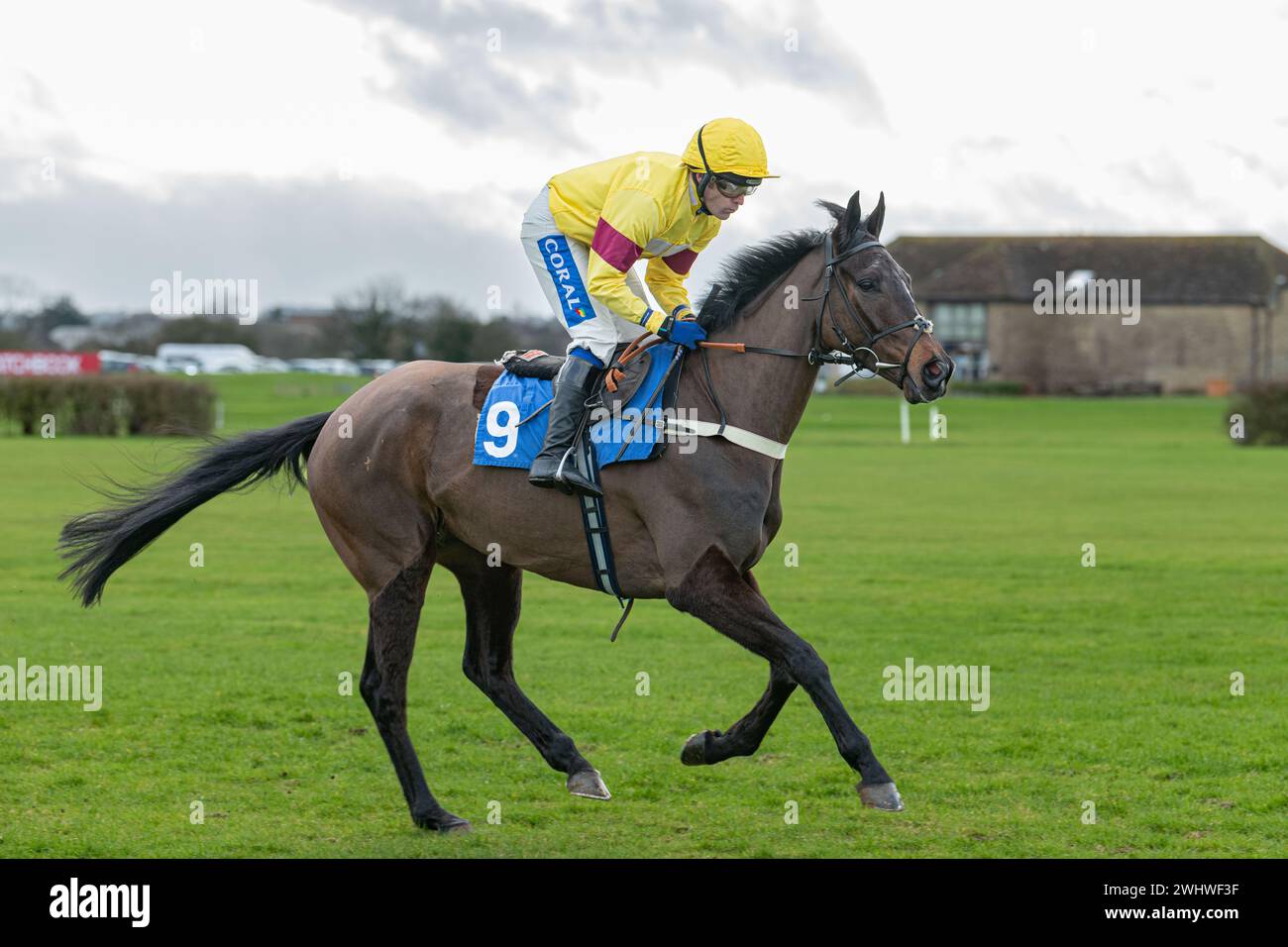 Prima gara a Wincanton 19 febbraio 2022 - Novice hurdle Foto Stock