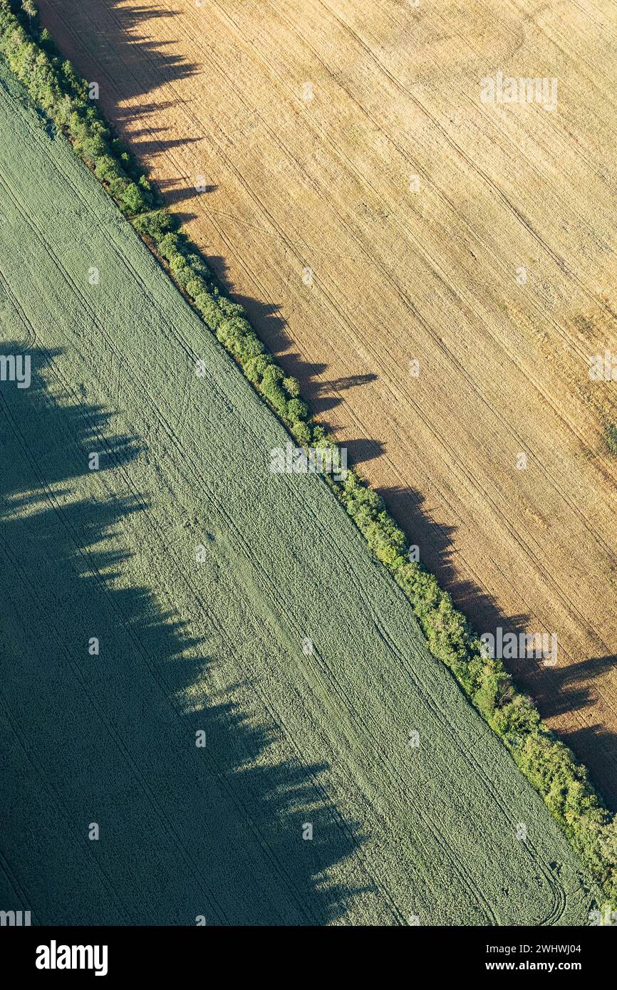 Area agricola astratta e campi verdi e beige nelle giornate di sole. Fotografia aerea, ripresa dall'alto. Carta da parati artistica. La bellezza della terra. Foto Stock