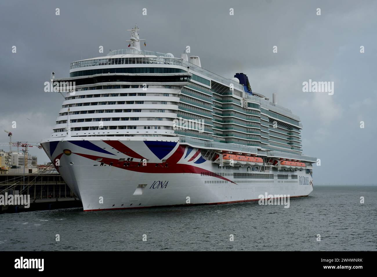 Etichette per bagagli da crociera per navi Royal Caribbean e celebrità, confezione da 6 etichette trasparenti essenziali per viaggi da crociera per 2025-2026