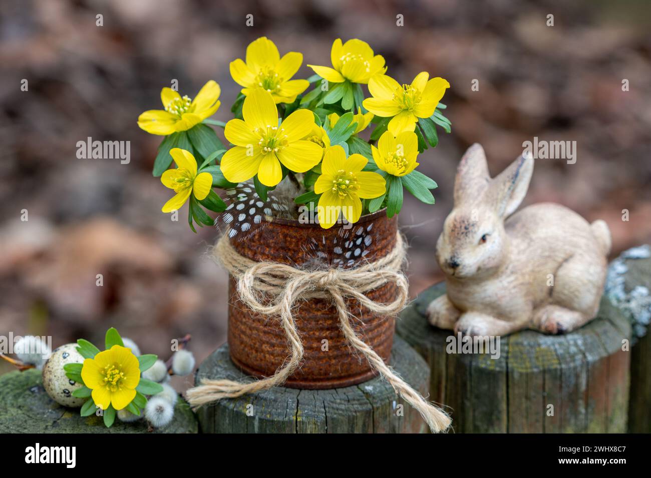 sistemazione pasquale con aconite invernale in stagno ruggine e coniglietto pasquale Foto Stock