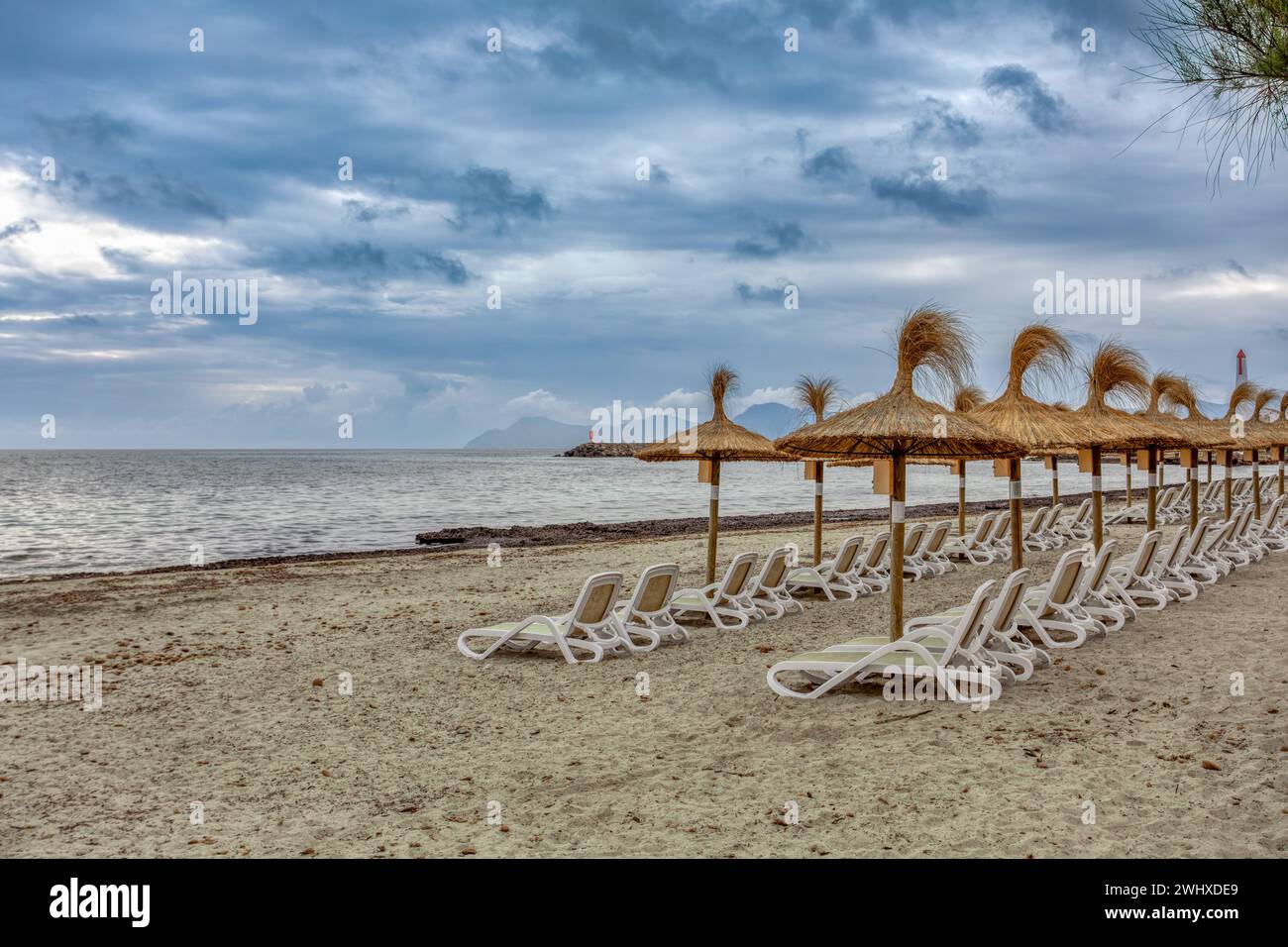 Spiaggia di CAN Picafort con ombrelloni di paglia e lettini, CAN Picafort, Isole Baleari Mallorca Spagna. Foto Stock