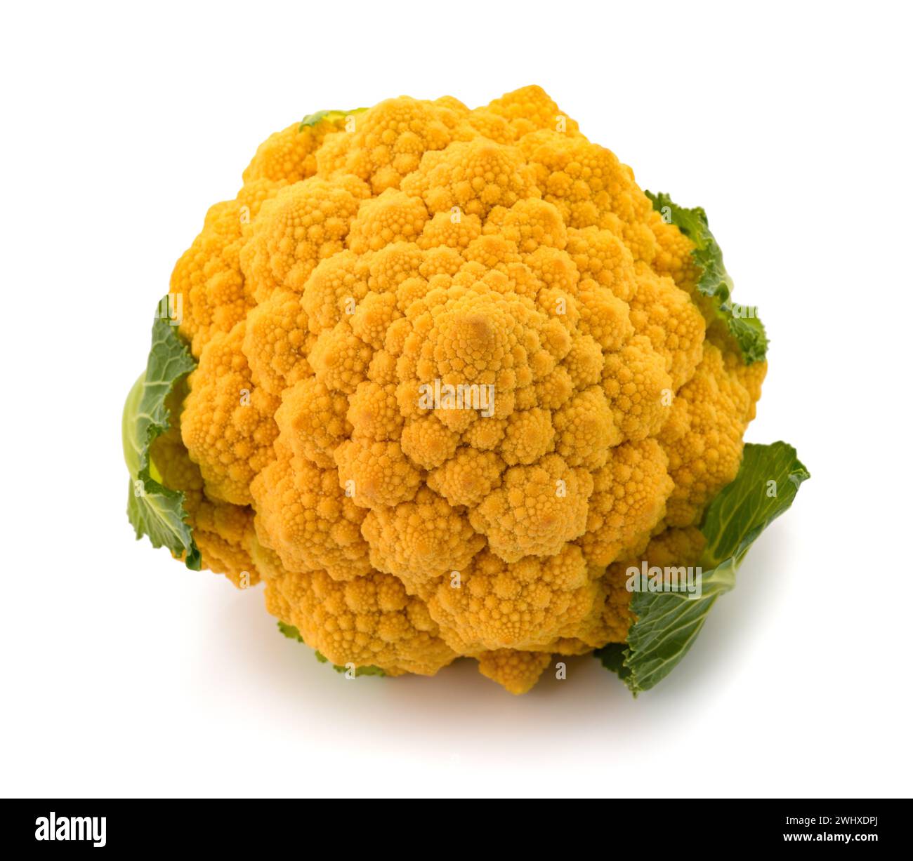 Romanesco broccoli isolato su fondo bianco Foto Stock