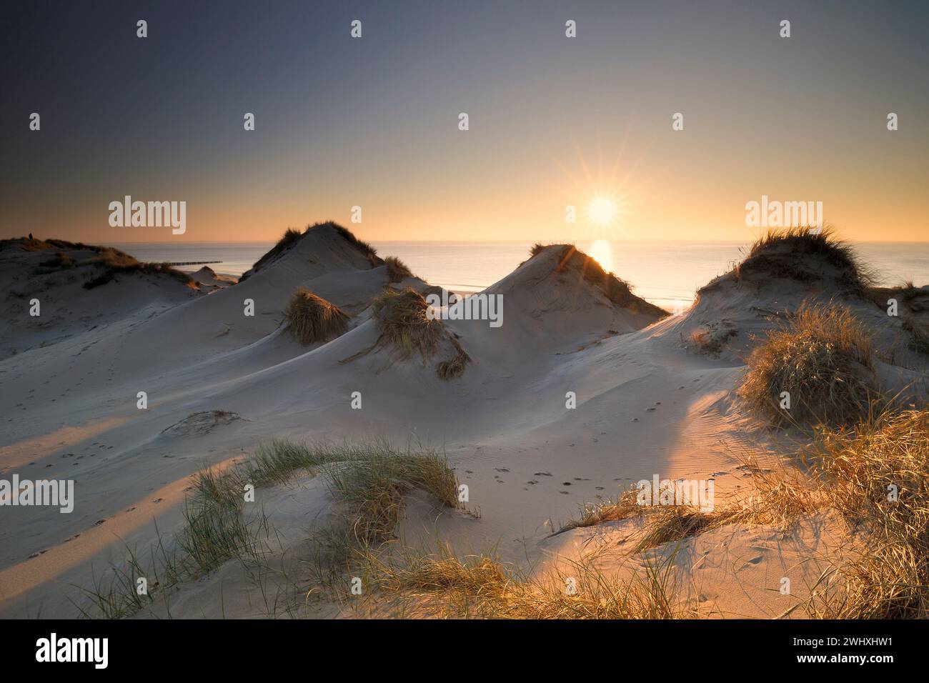 Soleggiata serata estiva sulla spiaggia di mare Foto Stock
