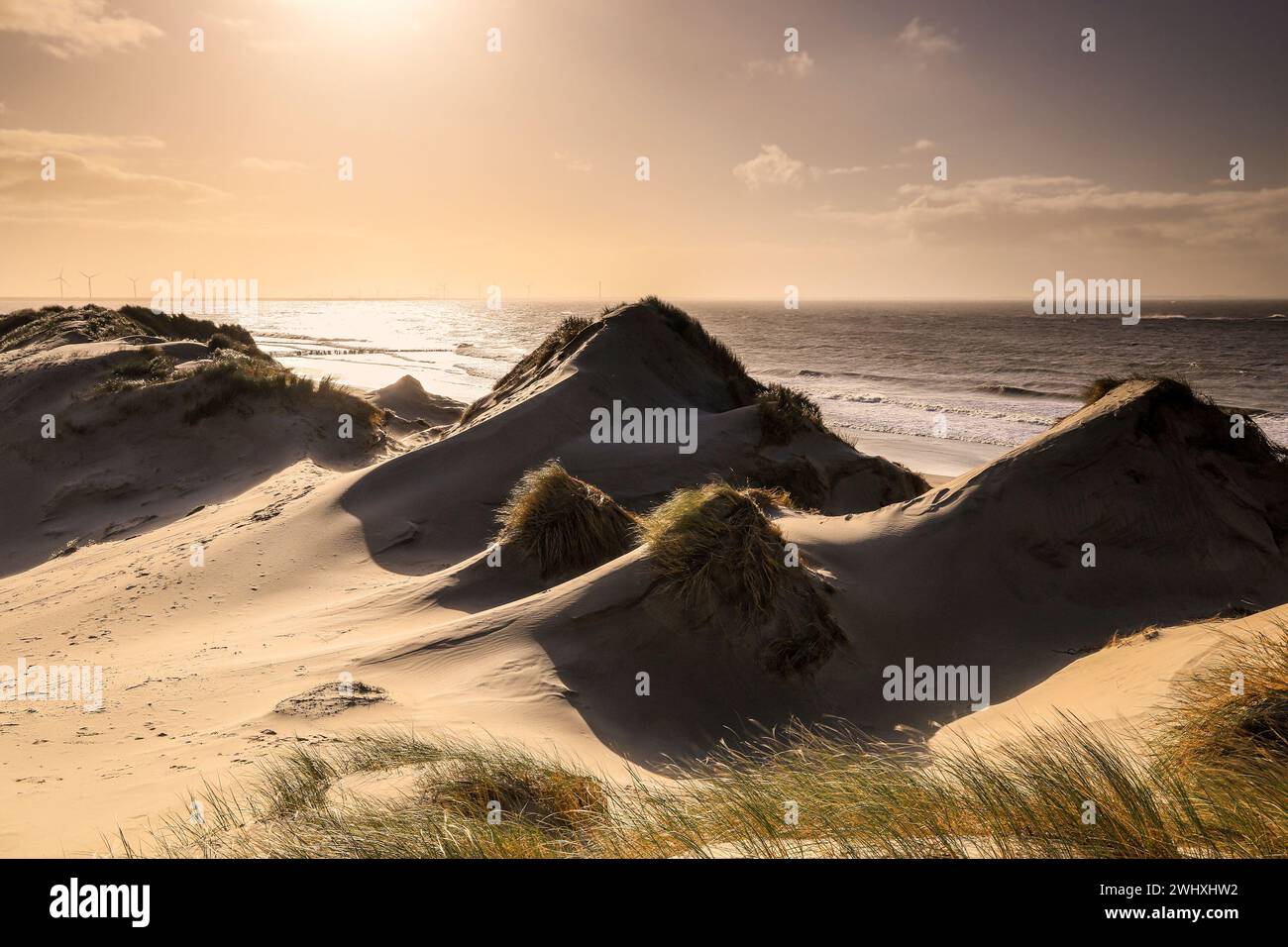 Dune di sabbia sulla spiaggia di mare al sole Foto Stock