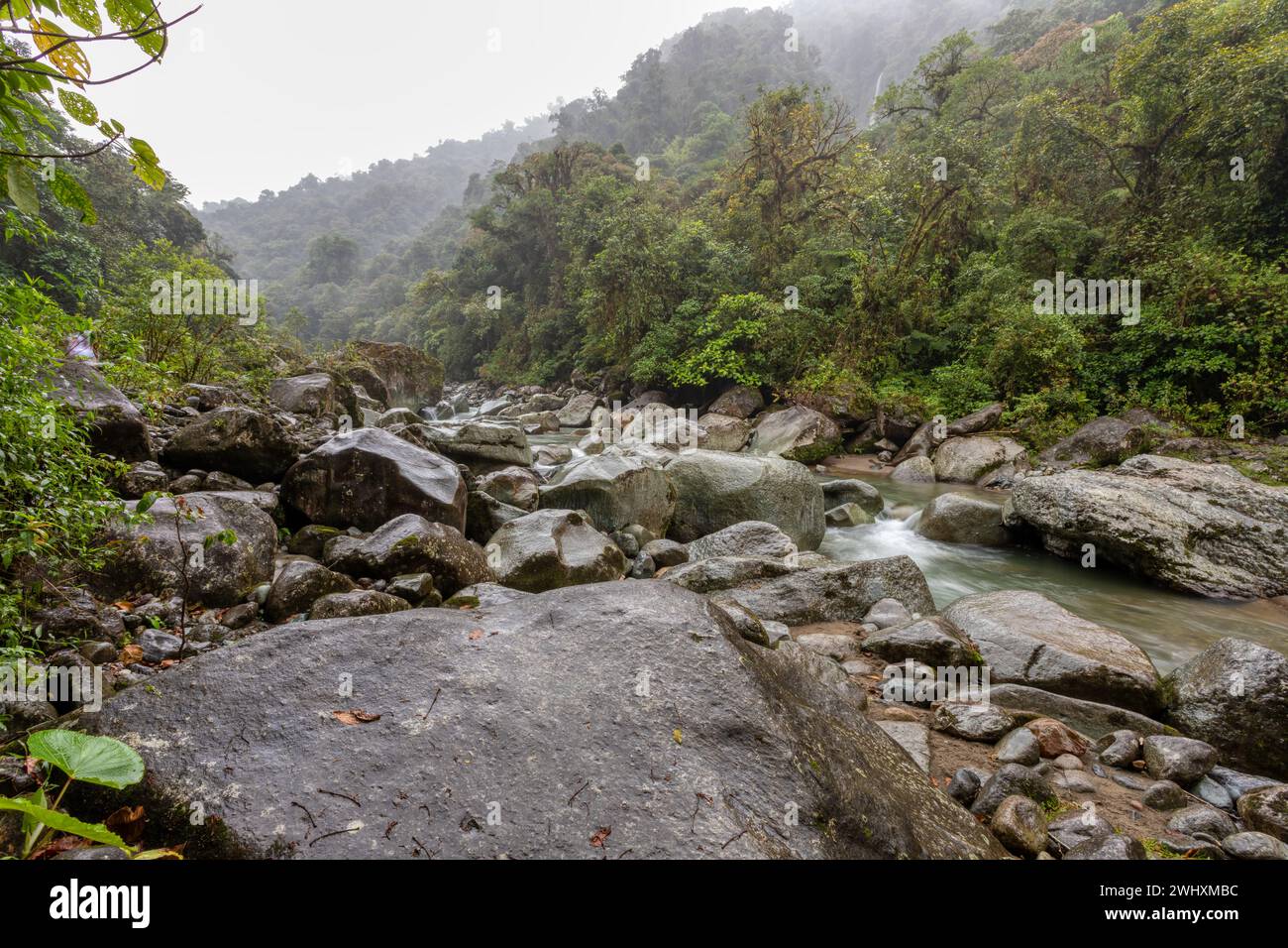 Il fiume Orosi, Tapanti - Cerro de la Muerte Parco Nazionale del Massiccio Foto Stock