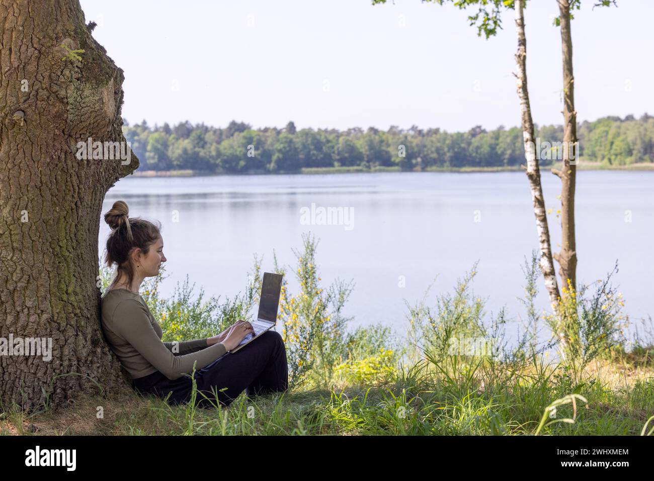 Remote Freelancer's Paradise lavora in mezzo alla bellezza della natura Foto Stock