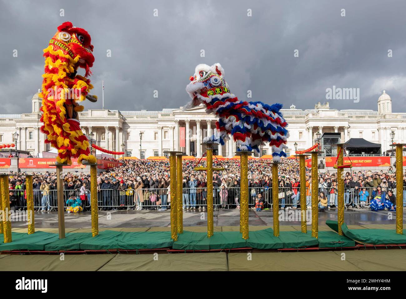 Londra, Regno Unito. 11 febbraio 2024. I ballerini leoni si esibiscono a Trafalgar Square per celebrare il Capodanno lunare cinese a Londra, Regno Unito, l'11 febbraio 2024. Crediti: Stephen Chung/Xinhua/Alamy Live News Foto Stock