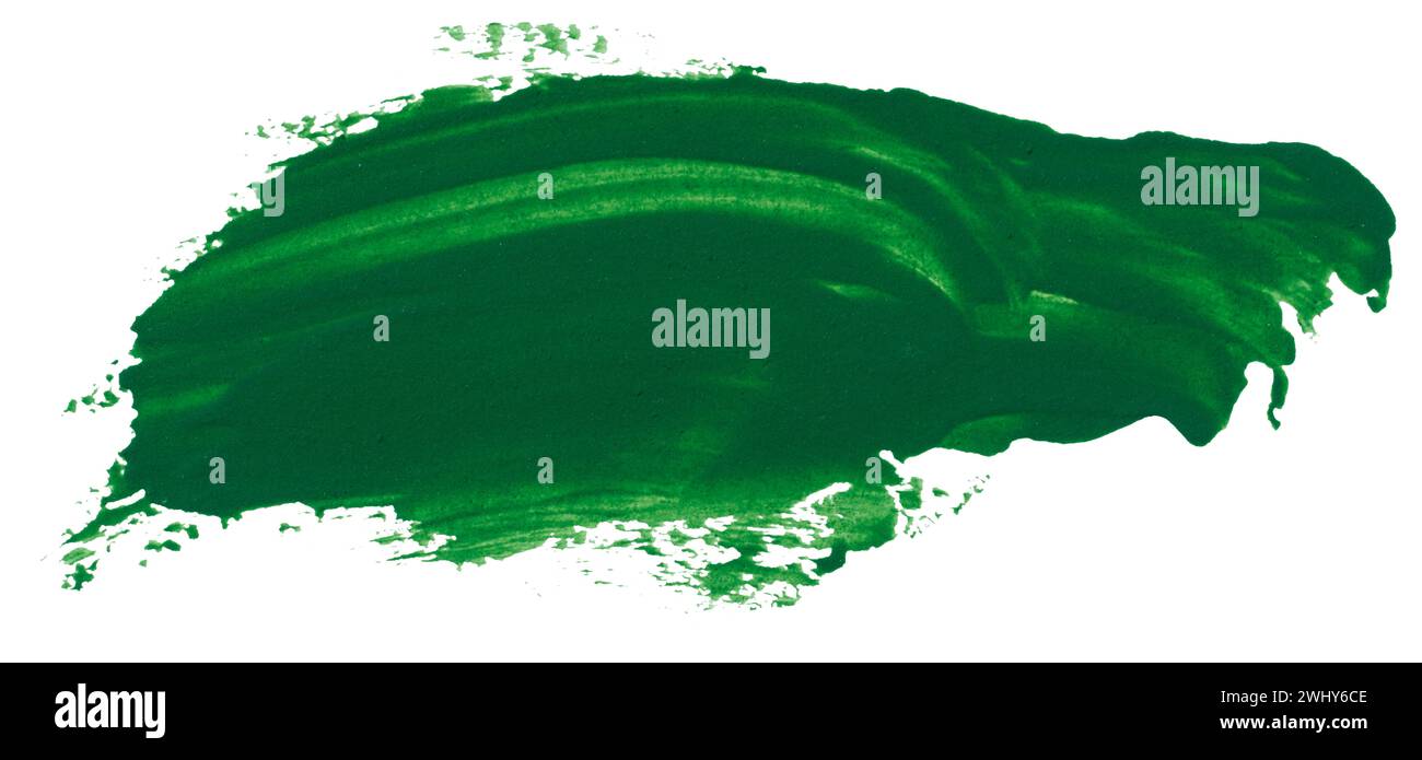 Pennello acquerello tratto di vernice verde, su uno sfondo bianco isolato Foto Stock