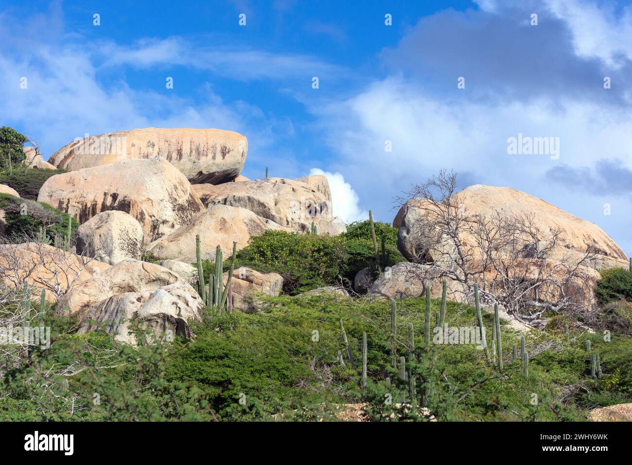 Formazioni rocciose di Ayo, Aruba, isole ABC, Antille Leeward, Caraibi Foto Stock