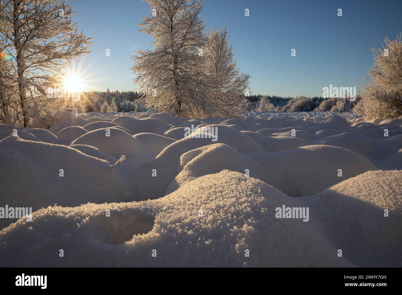 Sole brillante sulla brughiera nevosa Foto Stock