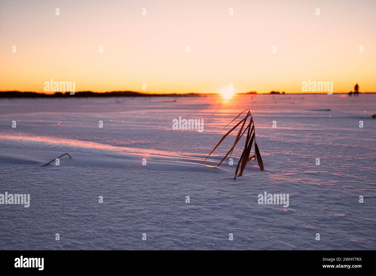 Alba sul lago ghiacciato in Svezia Foto Stock