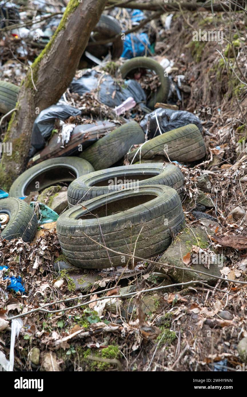 Vecchi pneumatici usati auto nella foresta. Scarico illegale di pneumatici nella natura. Inquinamento ambientale. Foto Stock
