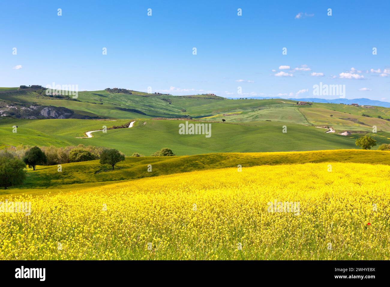 Vista sulla Val d'Orcia toscana Foto Stock