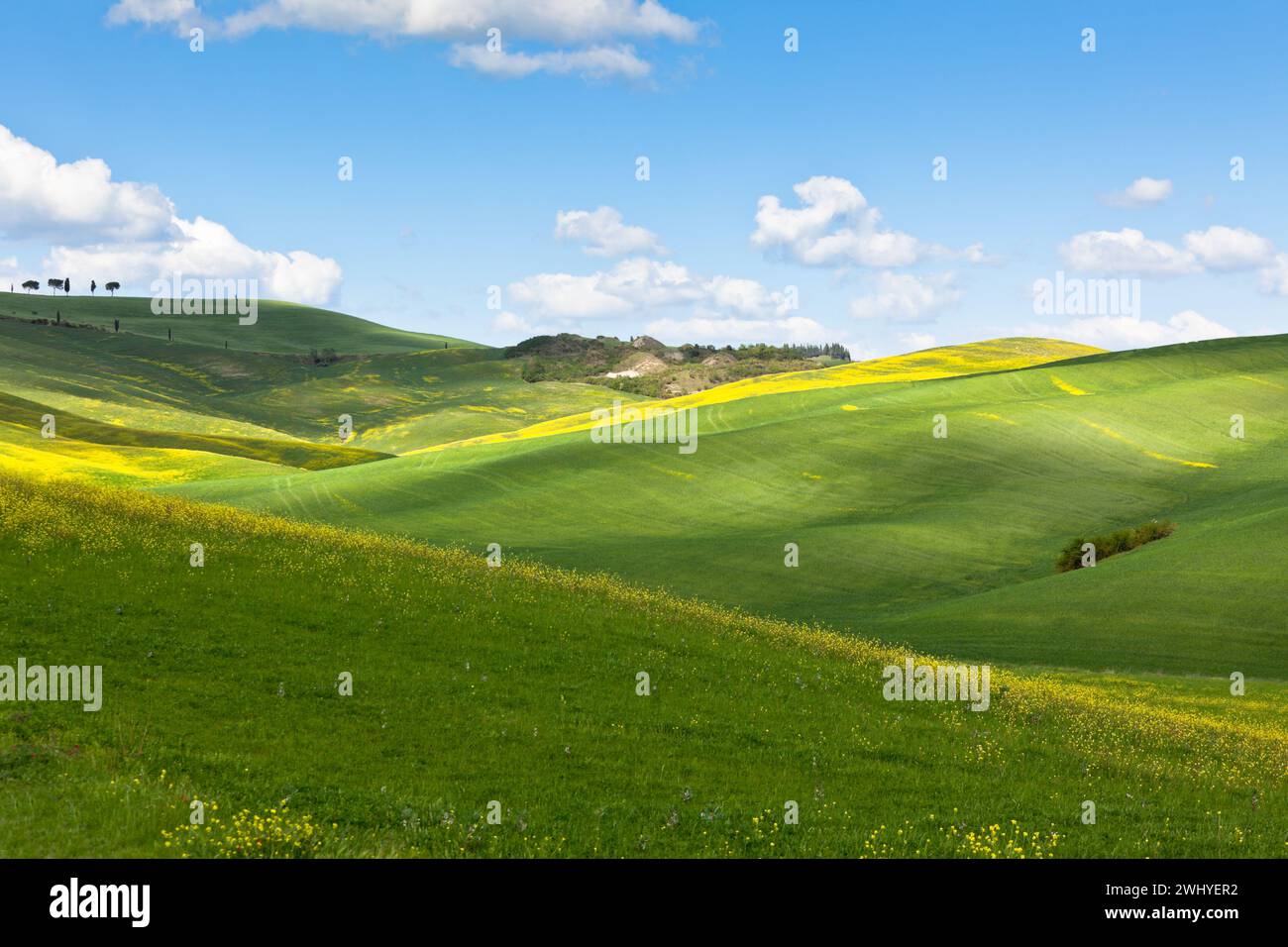 Luci e ombre sulle colline toscane Foto Stock