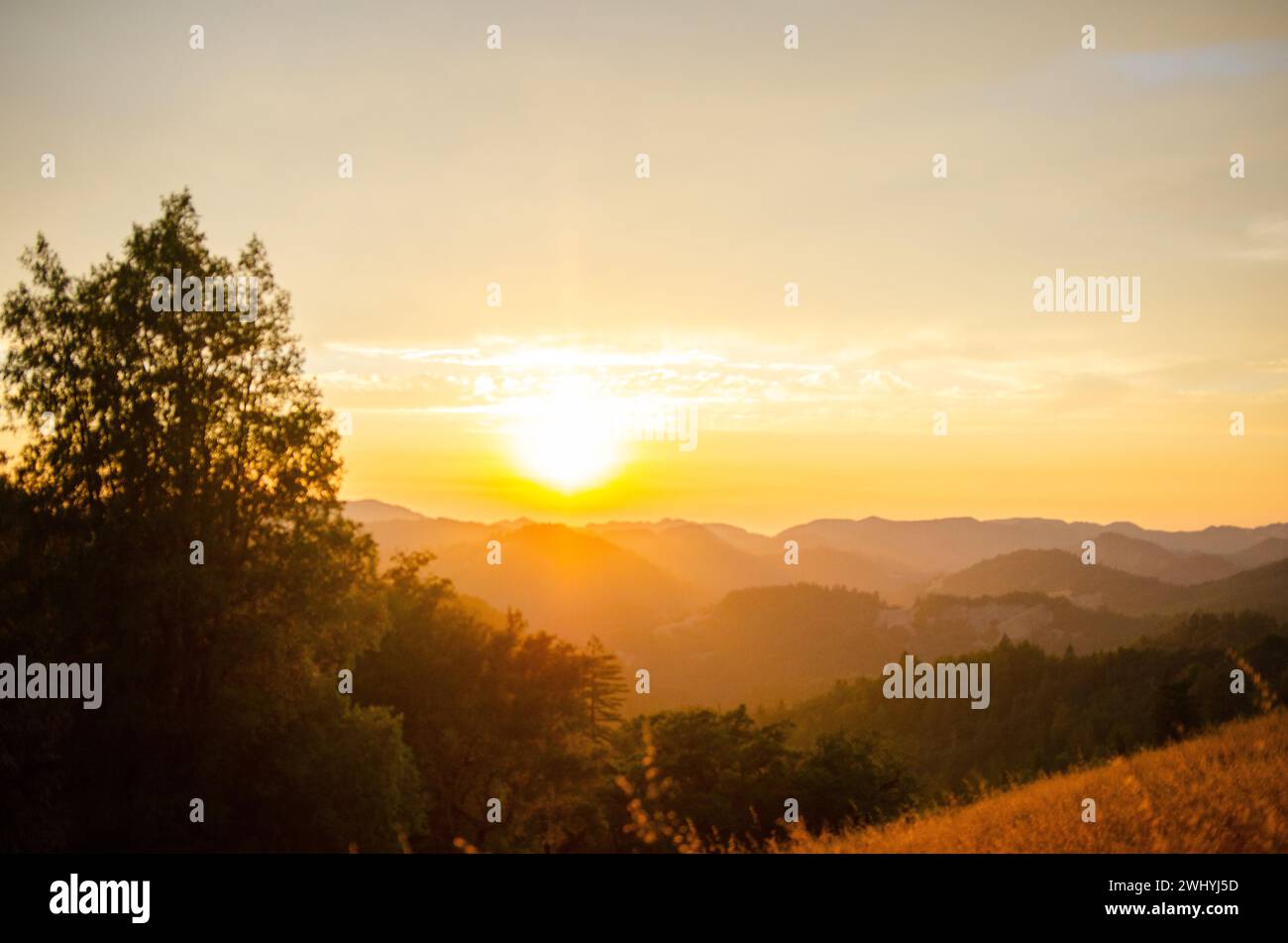 California settentrionale, Backcountry, querce, fienili abbandonati, paesaggi rurali, fascino di campagna, bellezza rustica, vecchie strutture, boschi di querce Foto Stock