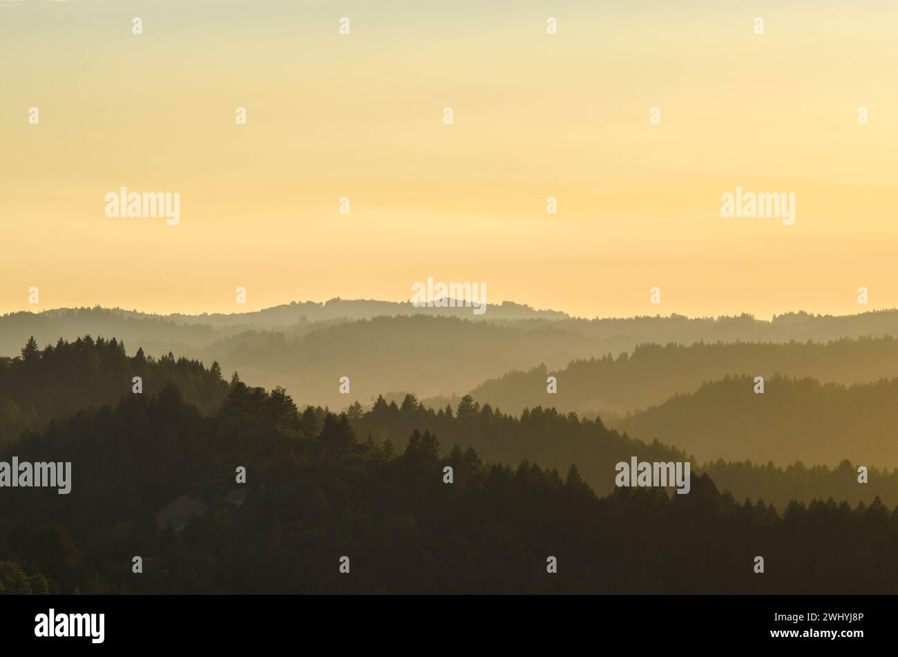 California settentrionale, Backcountry, querce, fienili abbandonati, paesaggi rurali, fascino di campagna, bellezza rustica, vecchie strutture, boschi di querce Foto Stock