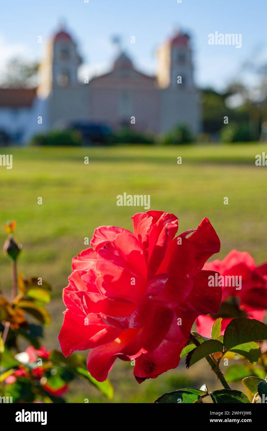 Macro Photography, Roses, monocromatico, Santa Barbara Mission, edificio storico, dettagli ravvicinati, eleganza floreale, Foto Stock