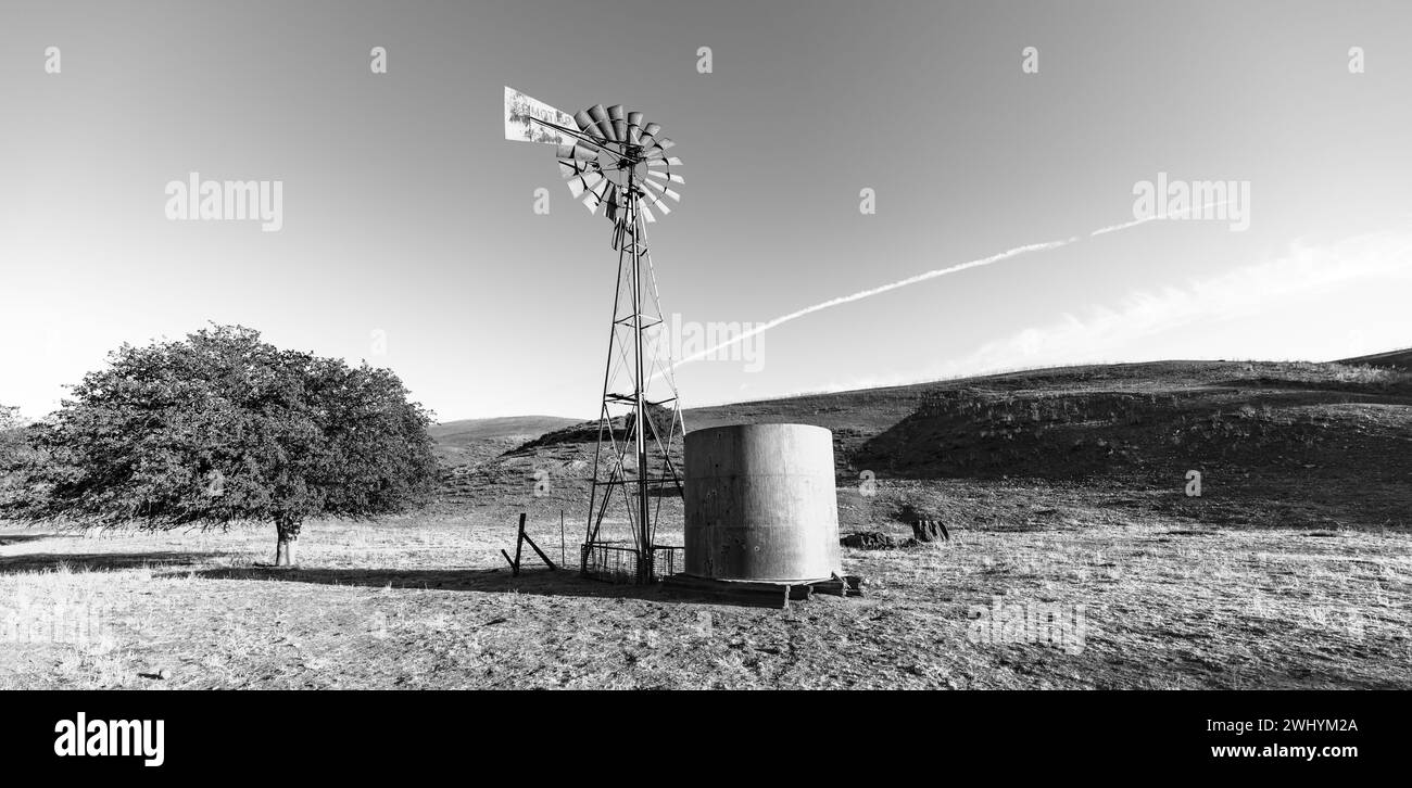 Autostrada 33, rettilineo, Ventucopa, California, Desert Highway, strada aperta, strada panoramica, paesaggio rurale, California centrale, regione arida Foto Stock