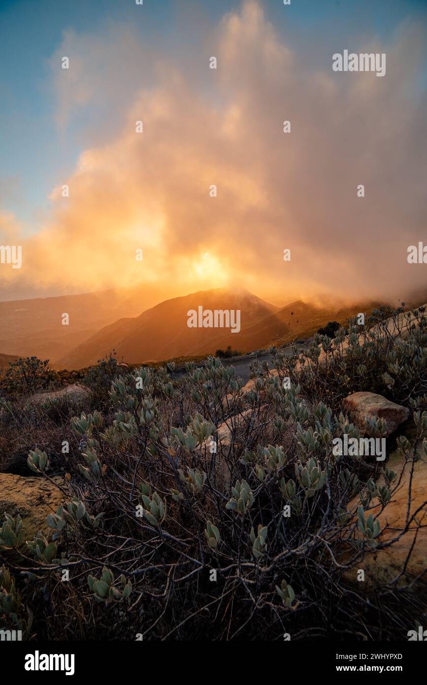 Whispy Fog, Sunset, Santa Barbara Mountains, Chaparral, Yucca, paesaggio, sognante, colori, atmosfera, Foggy, catena montuosa, eterea, panoramica Foto Stock