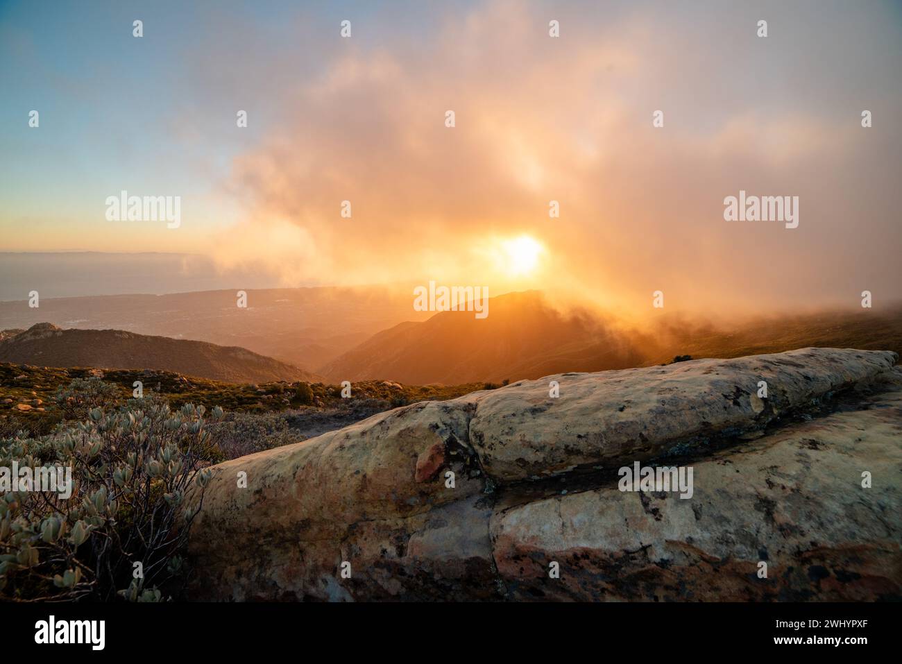 Whispy Fog, Sunset, Santa Barbara Mountains, Chaparral, Yucca, paesaggio, sognante, colori, atmosfera, Foggy, catena montuosa, eterea, panoramica Foto Stock