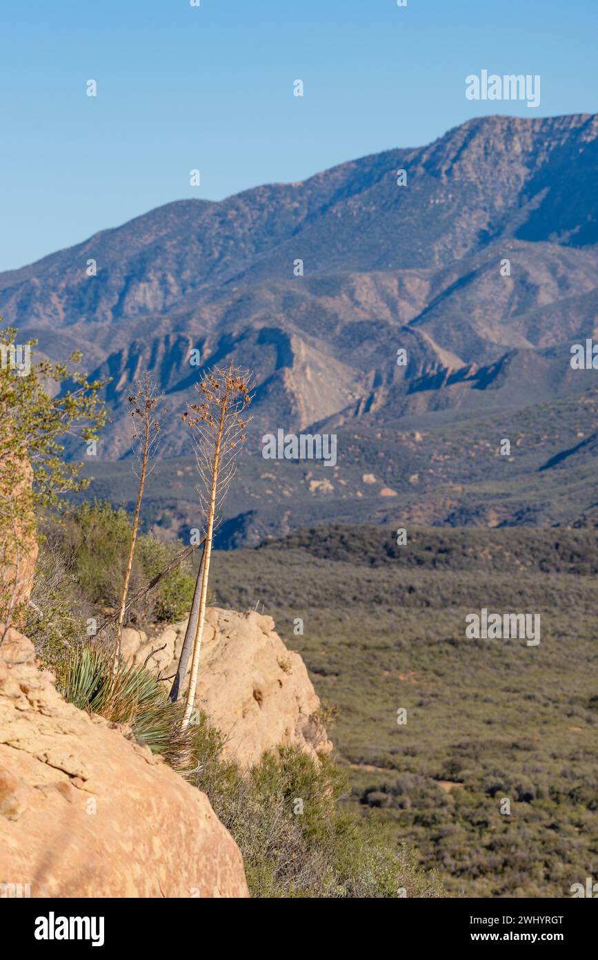 Sespe Wilderness, Ojai California, sole brillante, tramonto, gite in montagna, formazioni di arenaria, natura, paesaggio, natura selvaggia, avventura all'aperto Foto Stock