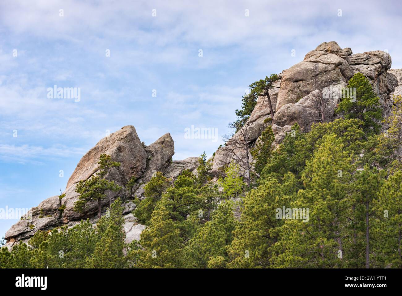 Mount Rushmore National Memorial Foto Stock