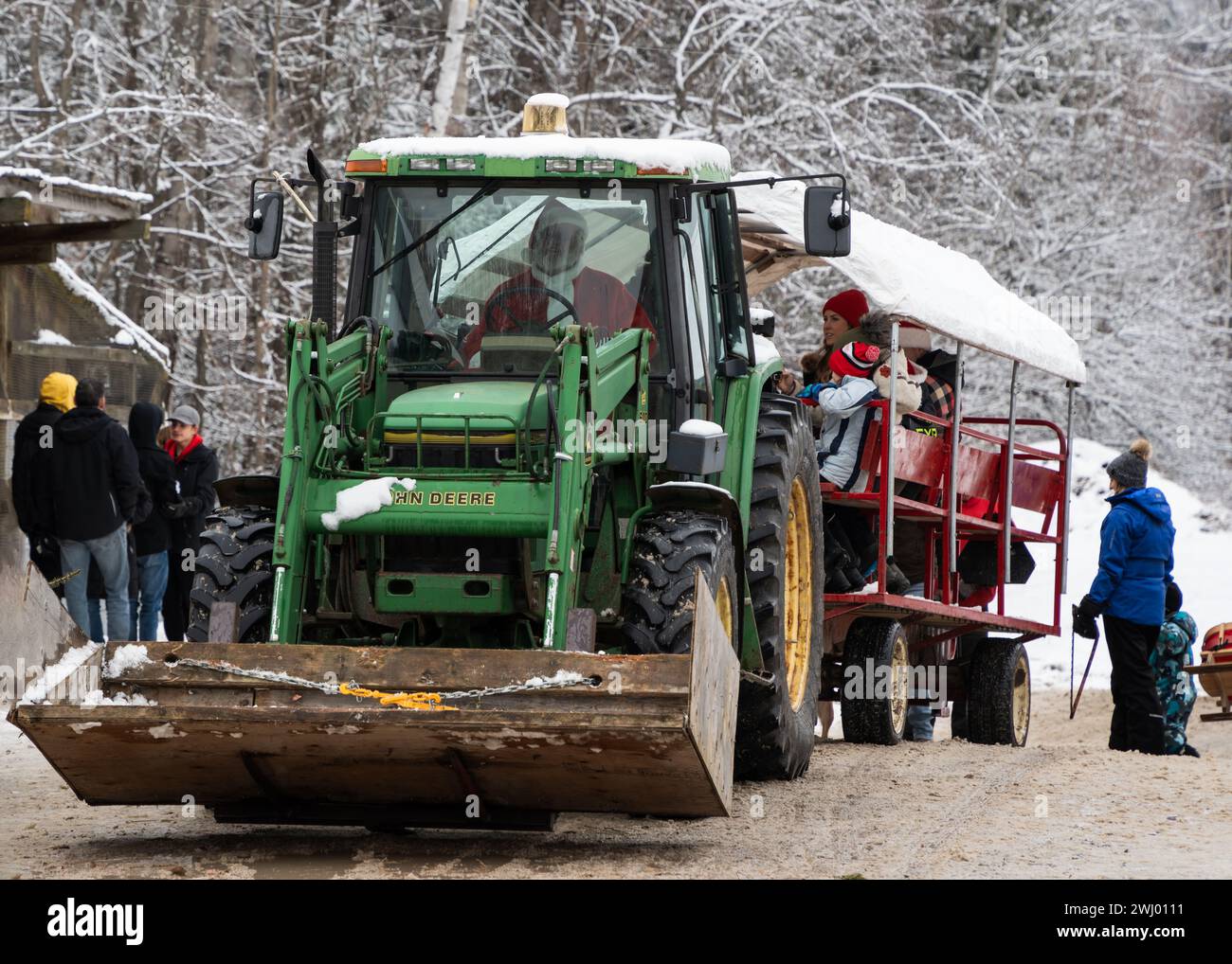 Un gruppo di persone si riunisce per un viaggio gioioso su un trattore in mezzo a una foresta ventosa. Foto Stock