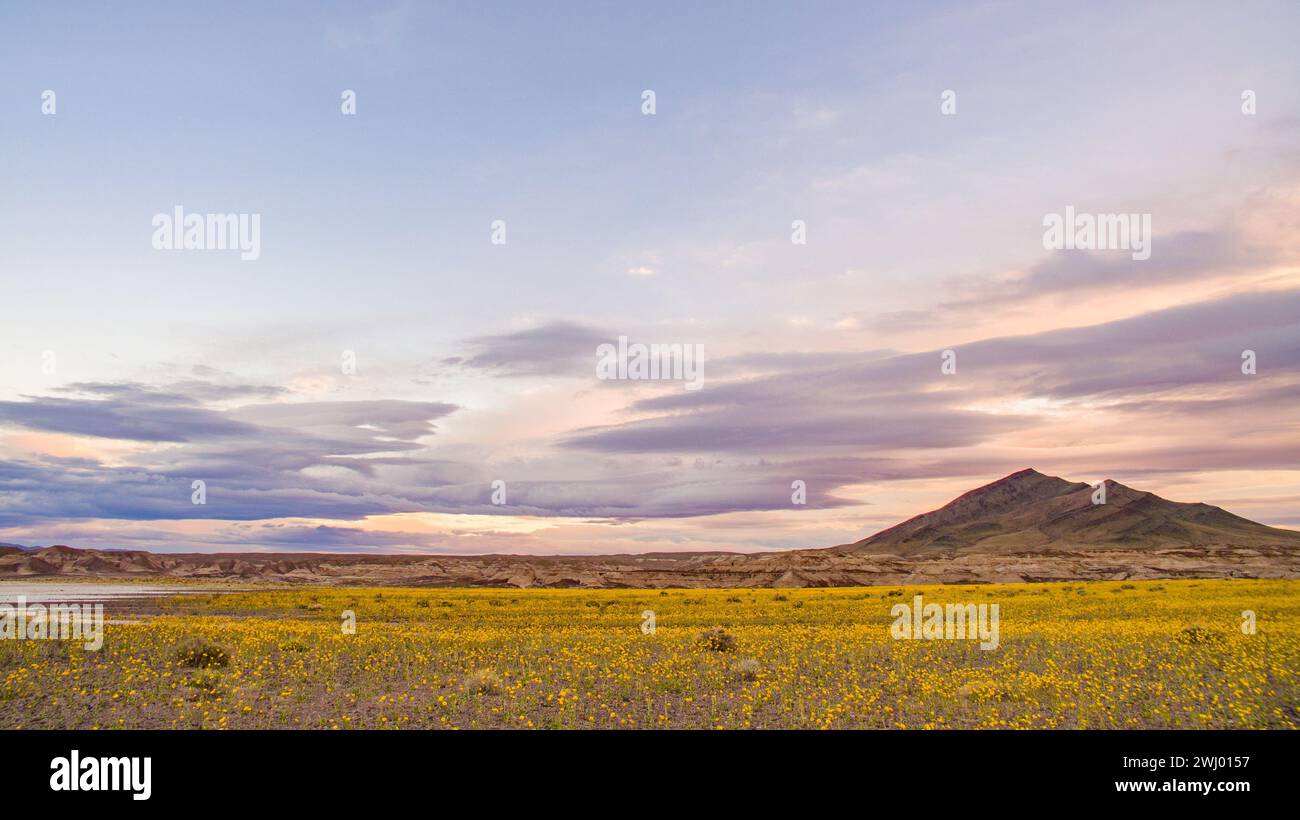 Red Water, Salt Lake, Saline Valley, Death Valley National Park, Mineral Colored, Vista aerea, Panoramica Foto Stock