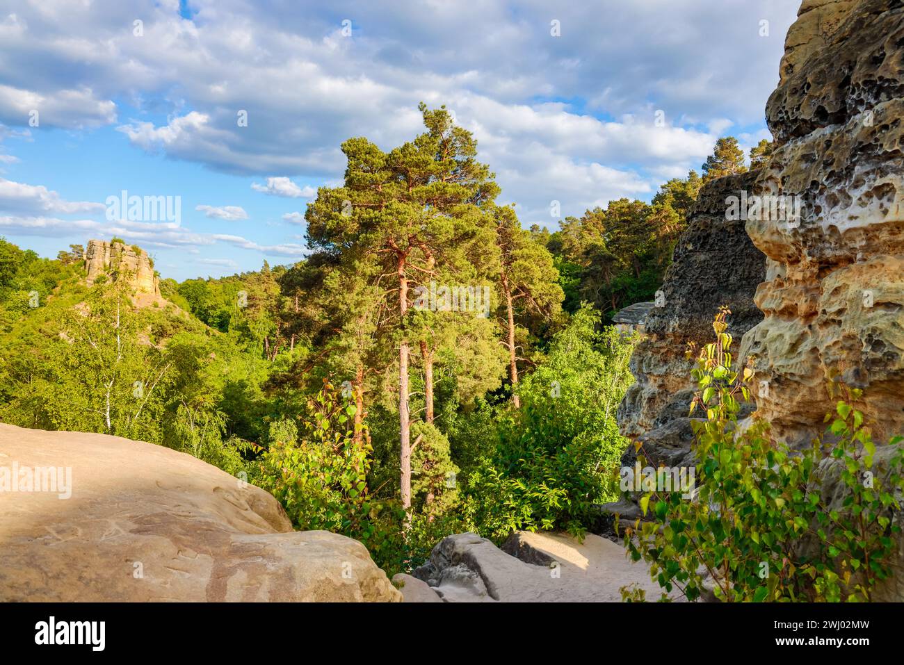 Destinazioni escursionistiche Halberstadt Klusfelsen Foto Stock