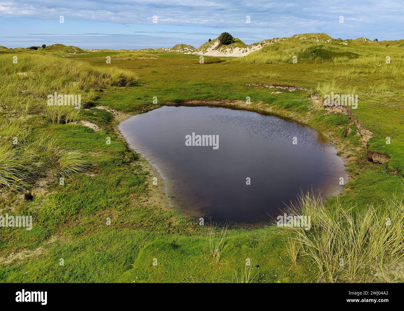 Riserva naturale all'estremità orientale dell'isola di Norderney, Frisia orientale, Germania, Europa Foto Stock