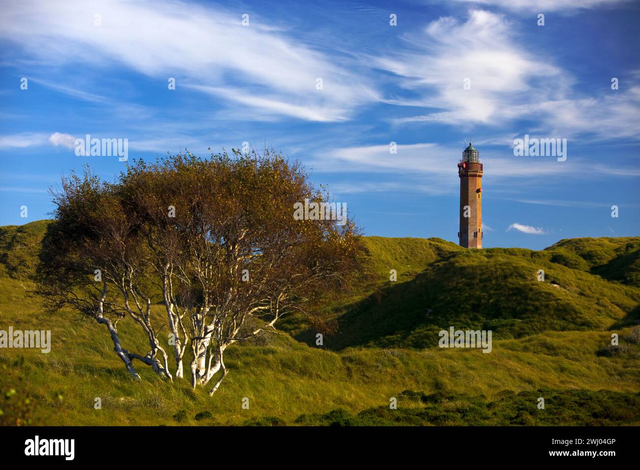 Grande faro di Norderney nel paesaggio delle dune, Isola di Norderney, bassa Sassonia, Germania, Europa Foto Stock