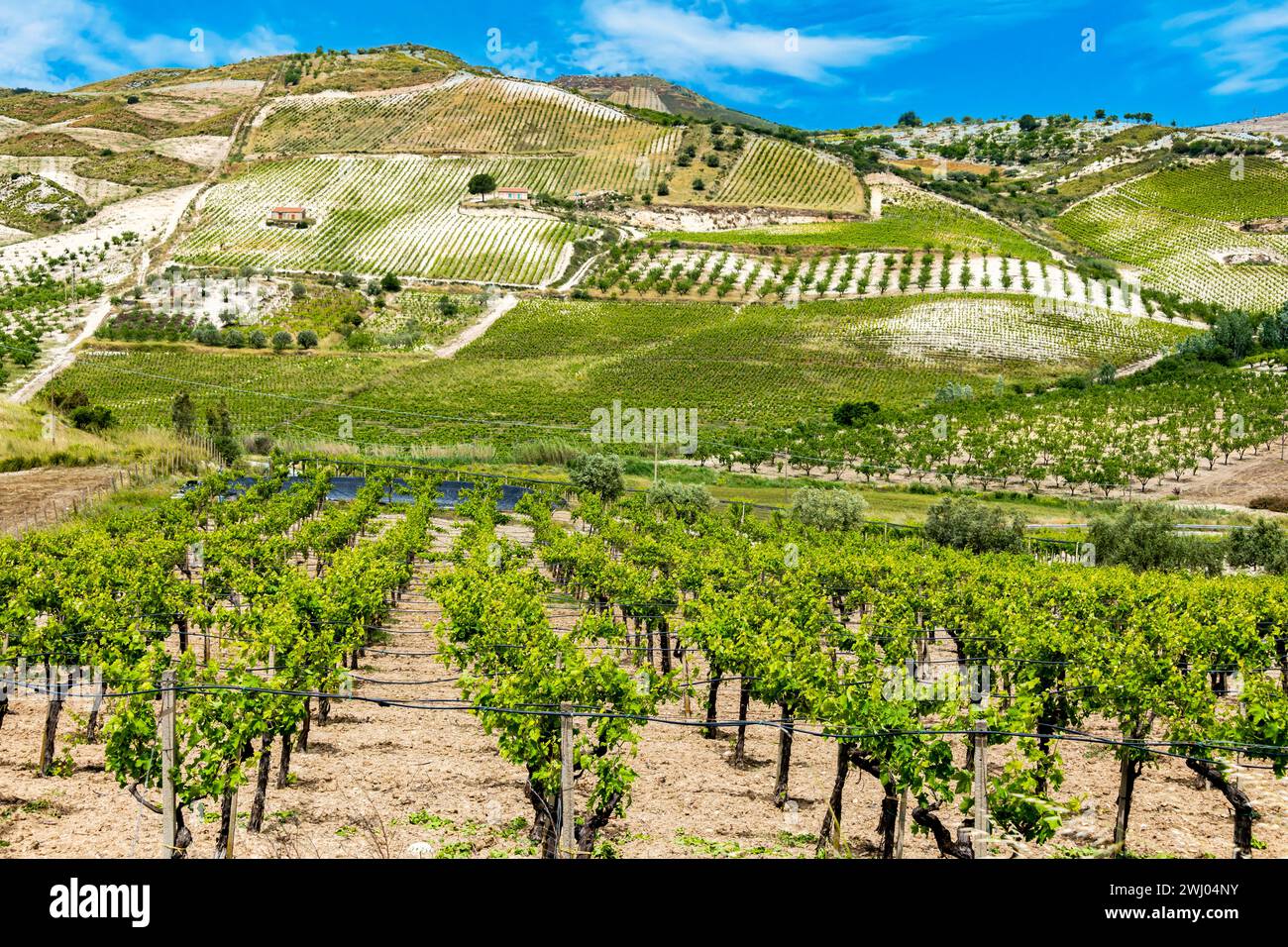 Vista panoramica della regione vinicola di Butera in provincia di Caltanissetta Foto Stock