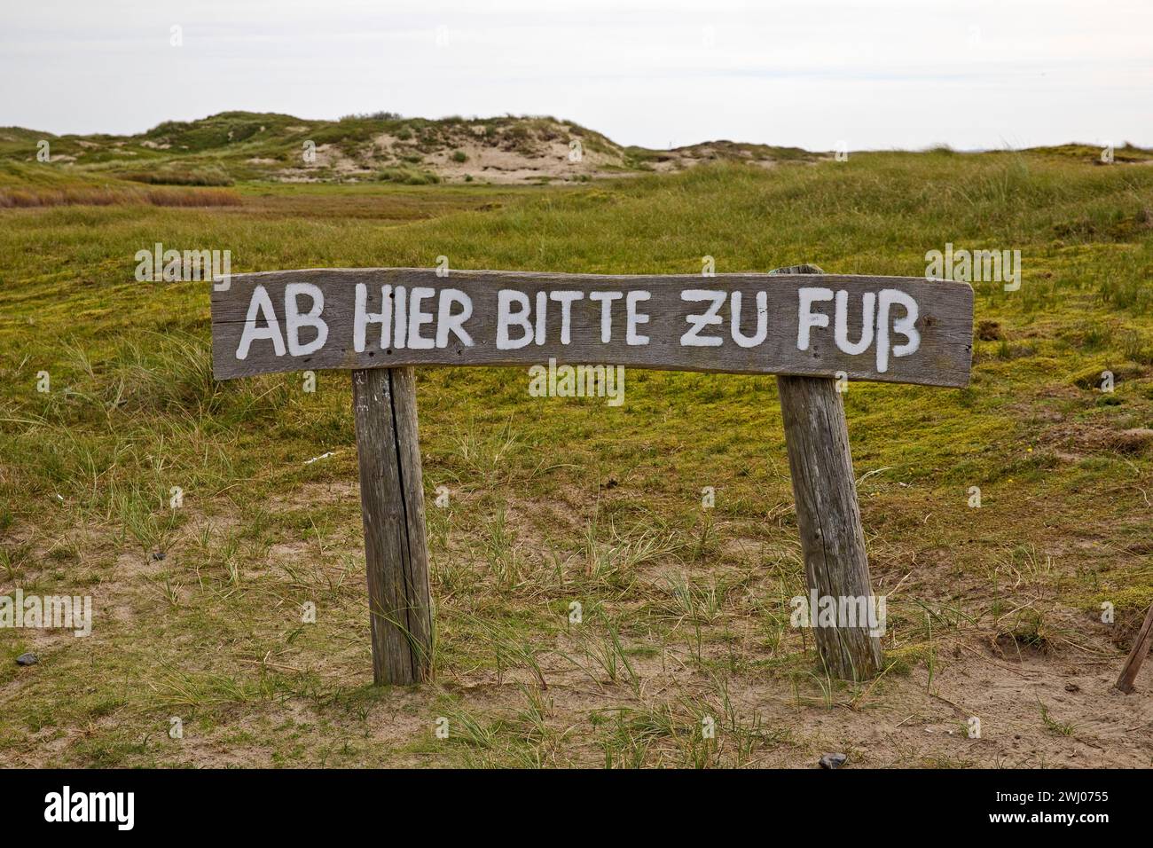 Nota da qui, cammina, riserva naturale, zona di protezione, Isola di Norderney, Germania, Europa Foto Stock