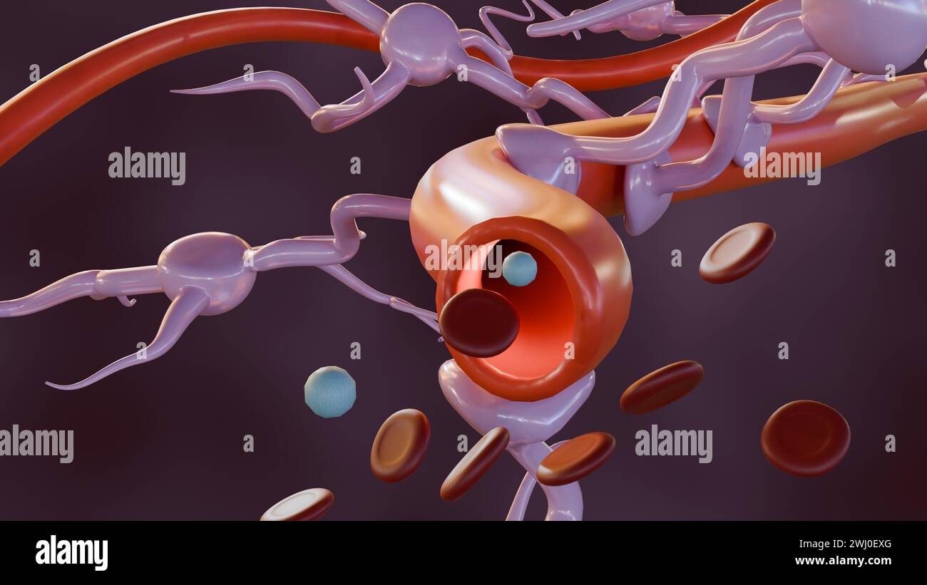 rendering 3d di astrociti con vasi sanguigni, ampiamente presenti in tutto il cervello e il midollo spinale. Foto Stock