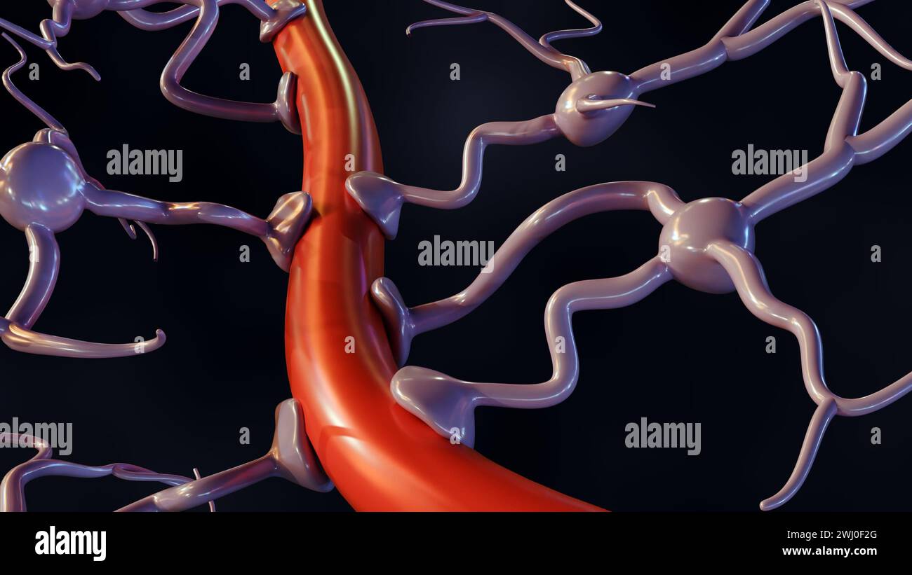 rendering 3d di astrociti con vasi sanguigni, ampiamente presenti in tutto il cervello e il midollo spinale. Foto Stock
